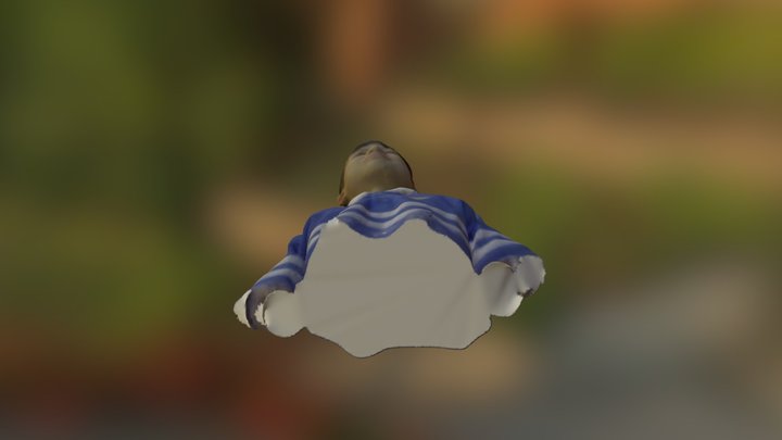 Allen029 3D Model