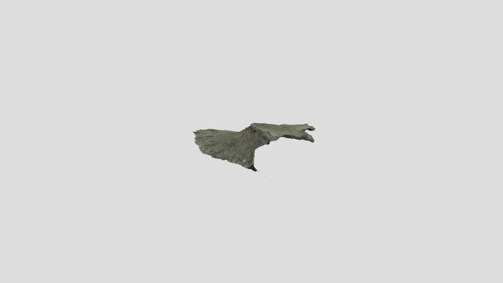 TB 360 scan 3D Model