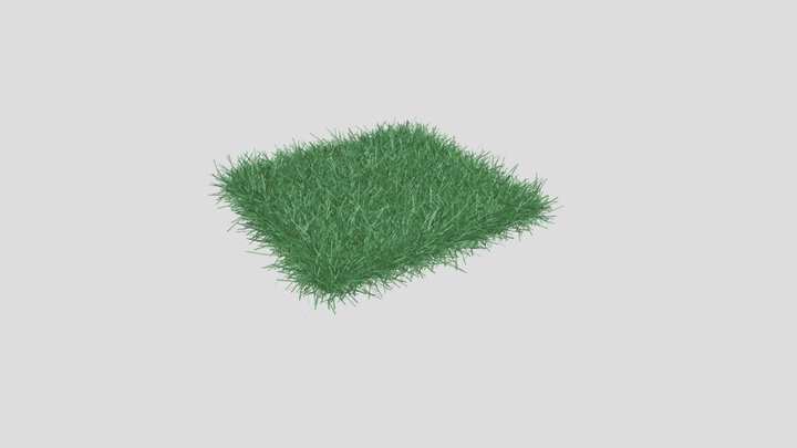 5m X 5m Grass 3D Model