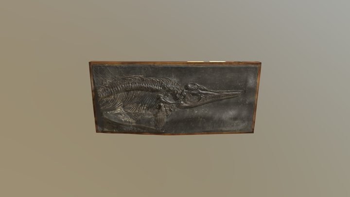 [1386] GSM 85793 Ichthyosaurus Anningae 900K Obj 3D Model