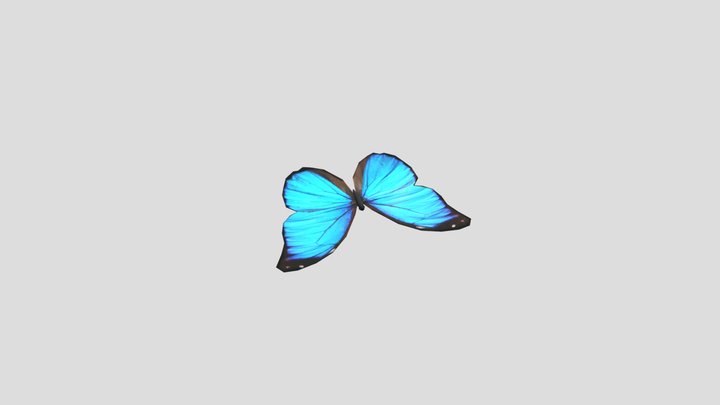 Borboleta Azul - Butterfly 3D Model