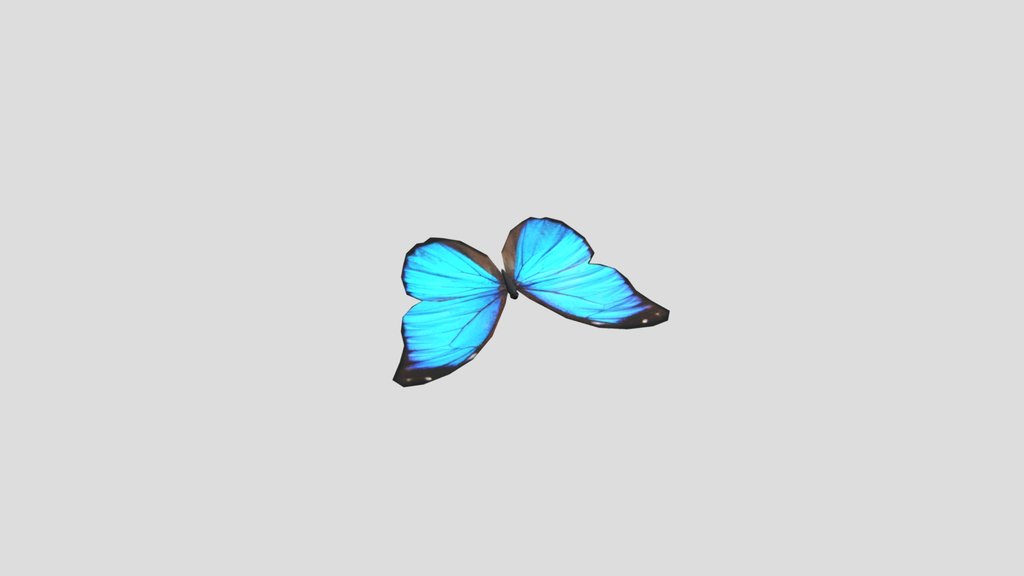 Borboleta Azul - Butterfly