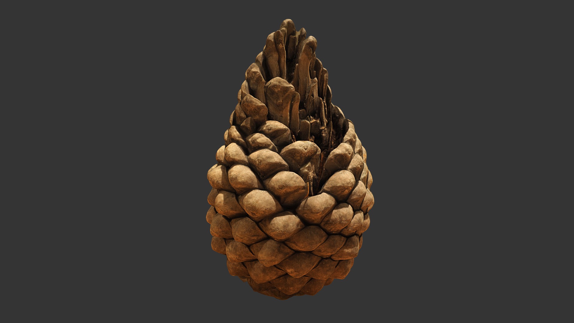 3D model Pine Cone - This is a 3D model of the Pine Cone. The 3D model is about a pile of cut logs.