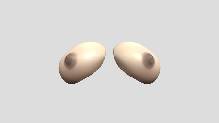The image is a pair of breasts 3D Model
