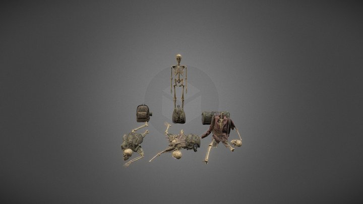 Traveler Skeleton with Bags 3D Model