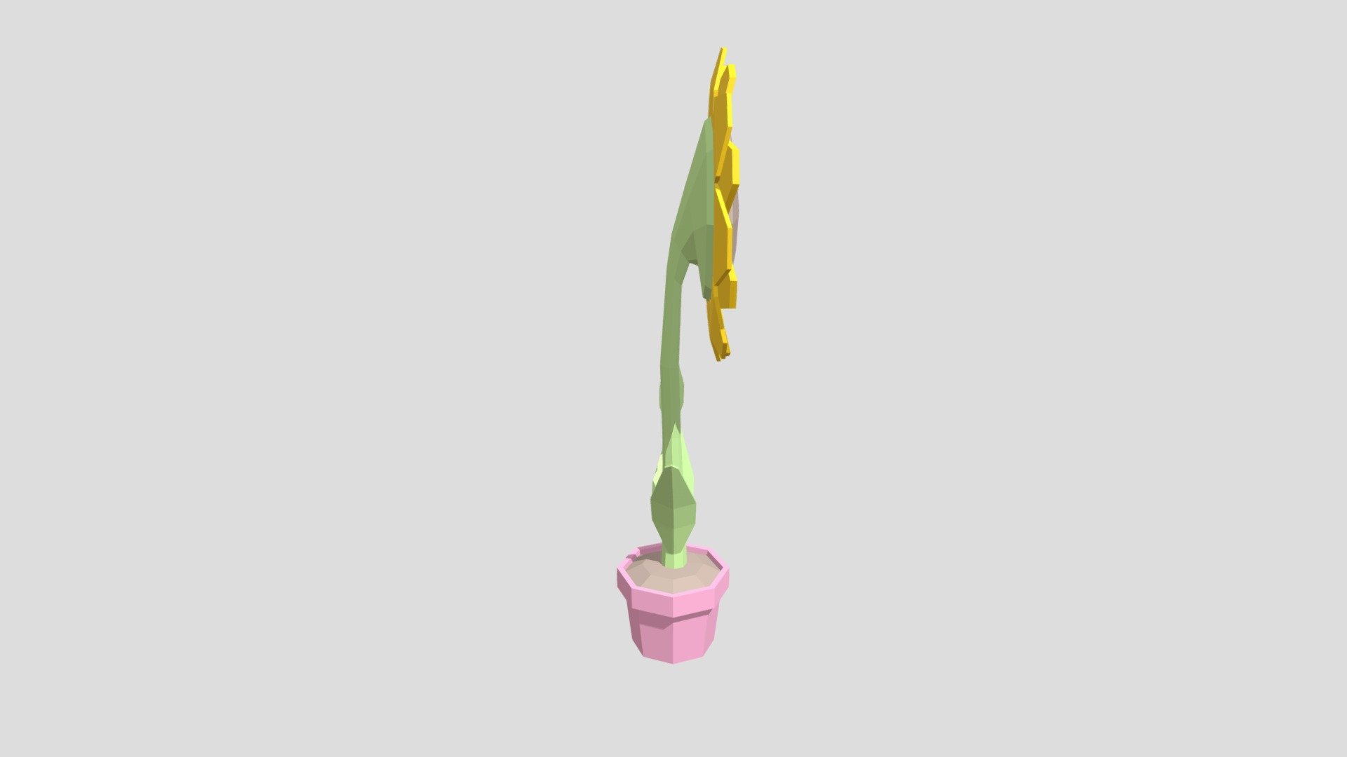 Sunflower from Poly by Google