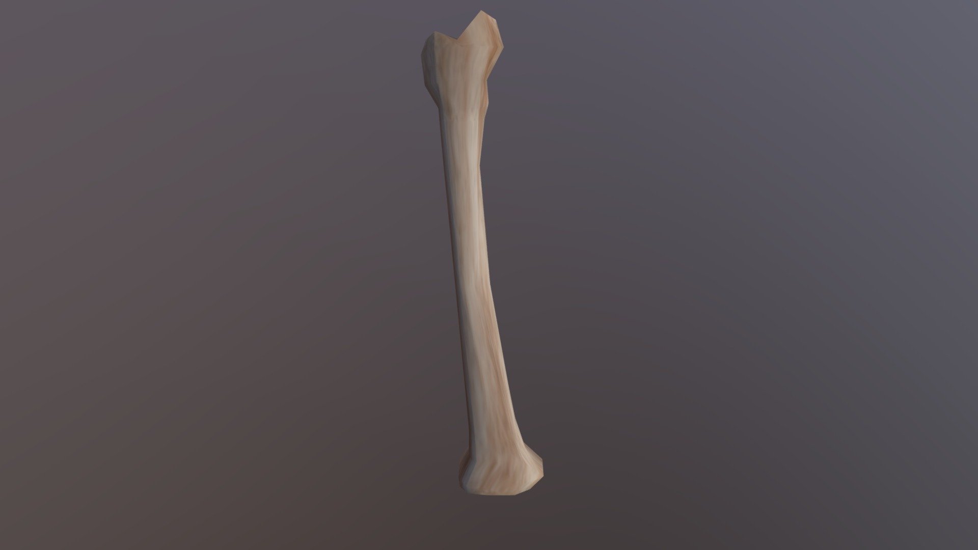 Bone - 3D model by MarlonHipperling [ab9d494] - Sketchfab