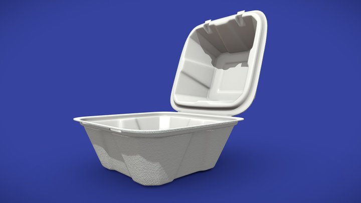 3D Styrofoam Plate model - TurboSquid 2051611