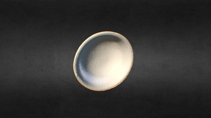 Copador Vase 3D Model