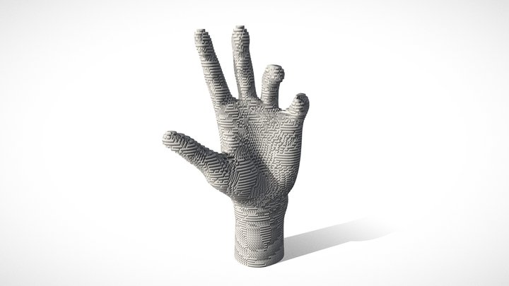 Topographic Sliced Hand model 3D Model