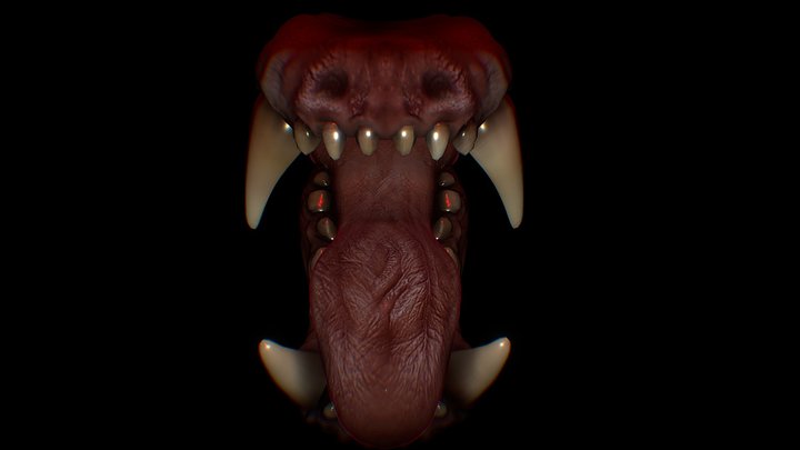Werewolf Mouth 3D Model