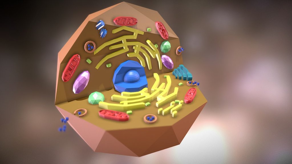 Animal Cell - Download Free 3D model by Forged1212 (@Forged1212