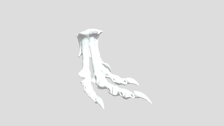 Allosaurus Foot Cast 3D Model