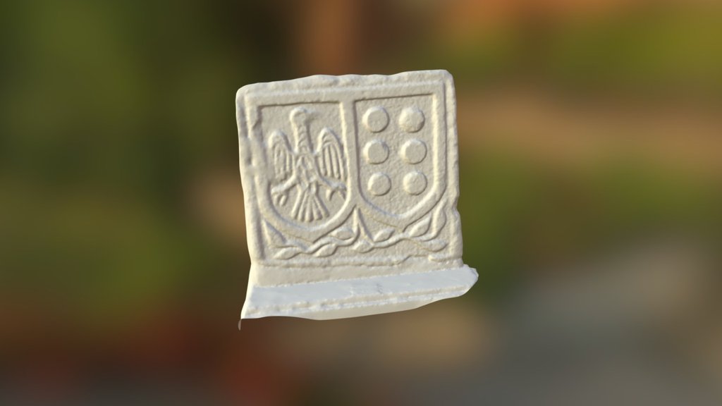 Heraldic shield