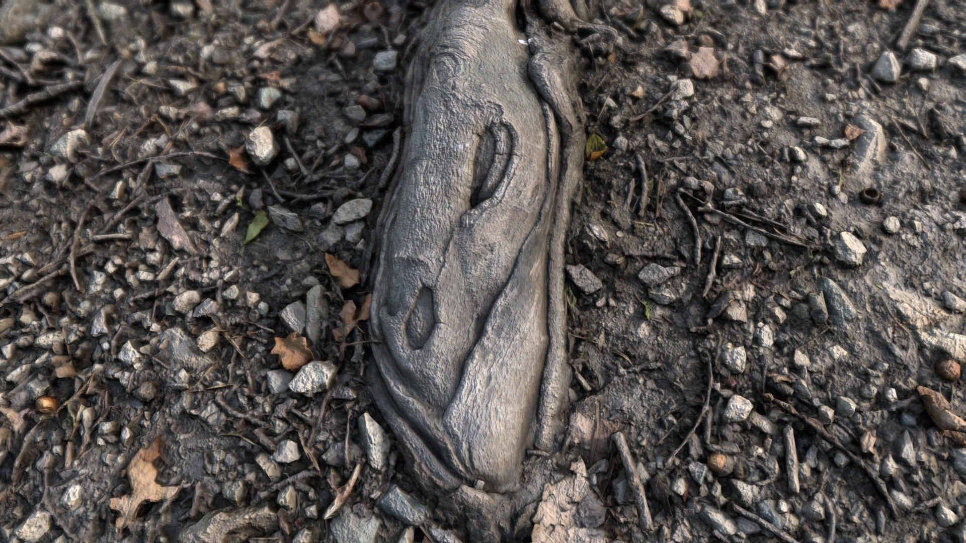 Ground with root square 8k