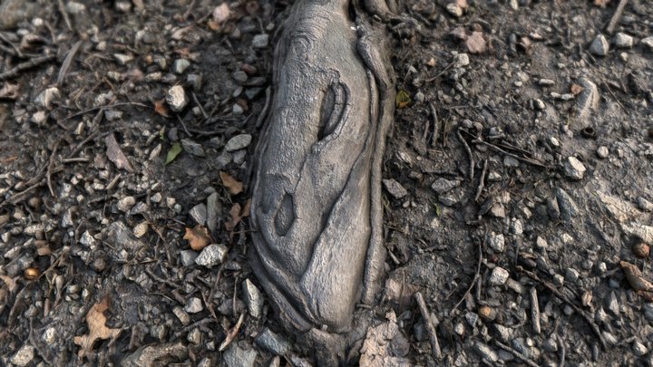 Ground with root square 8k – Gratis 3D-model STL