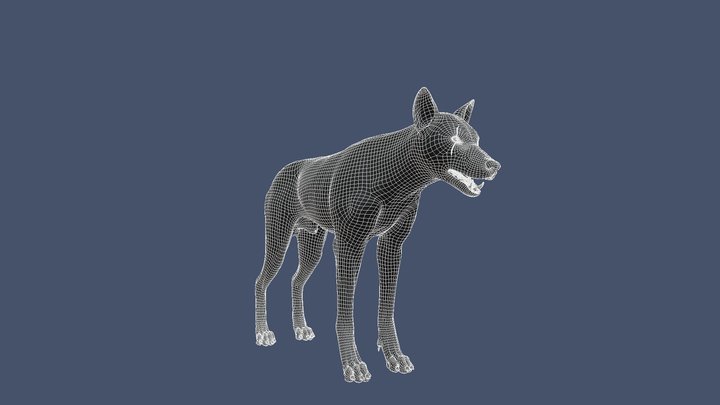Wolf Combined With Rig 3D Model