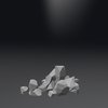 Loading 3D Model