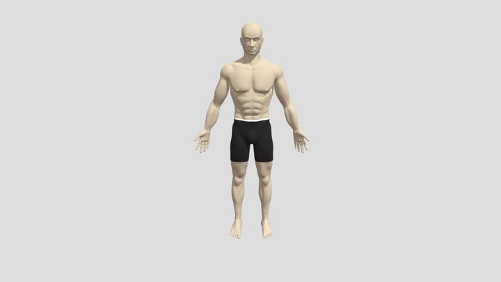 Vic 3D Model