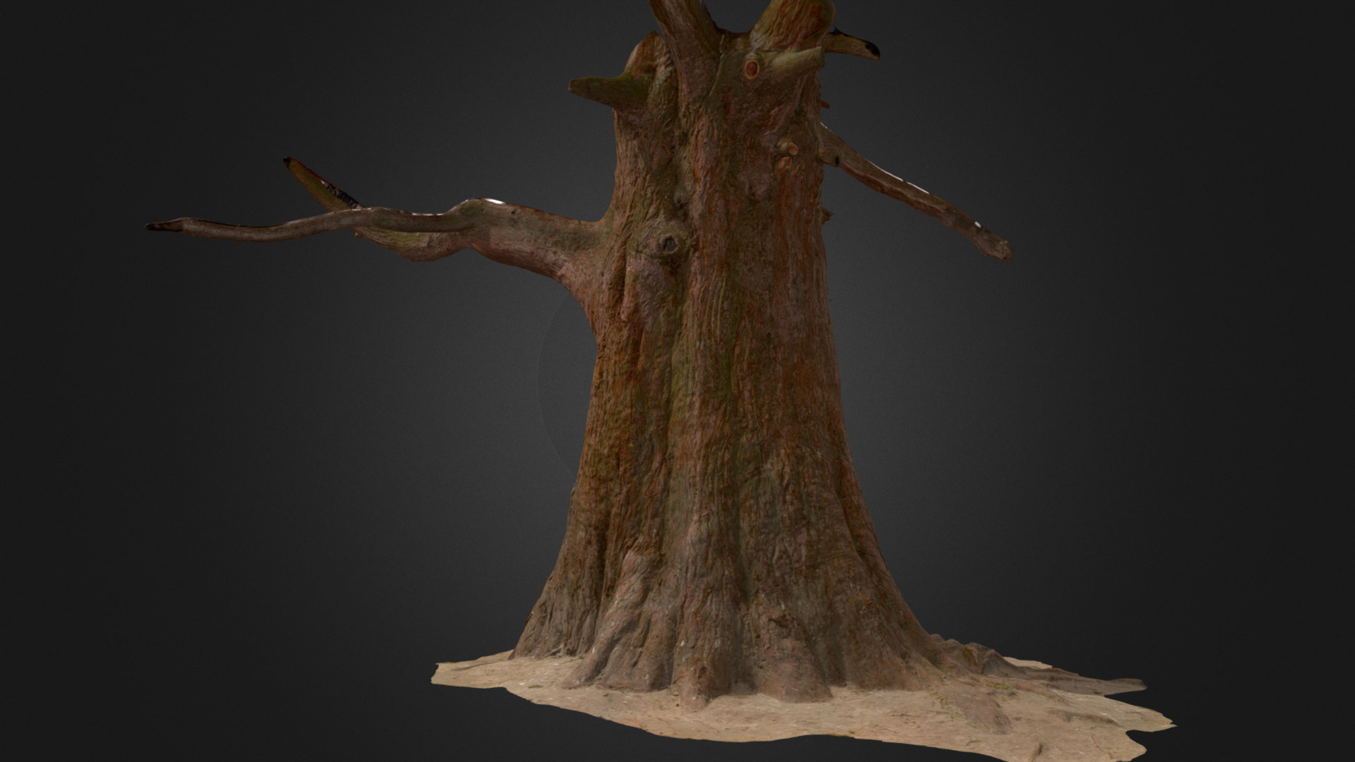 3D model Big Cedar tree trunk - This is a 3D model of the Big Cedar tree trunk. The 3D model is about a tree trunk with a carved face.