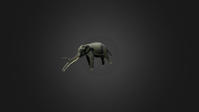 Elefante 3D Model