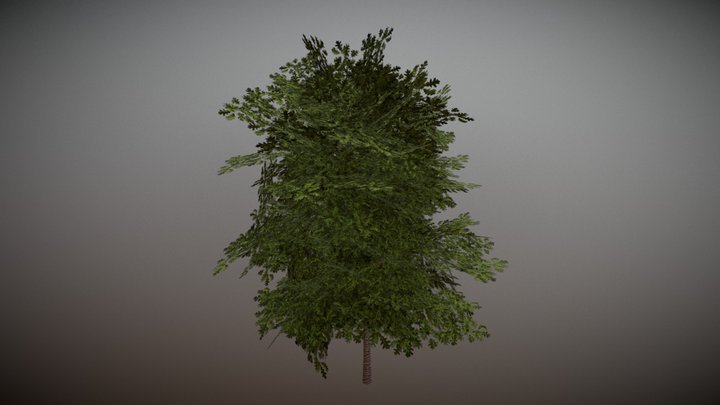 Tree (Optimised For Games) 3D Model