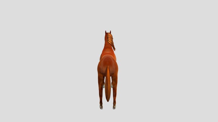 this is my first attempt at a horse 3D Model