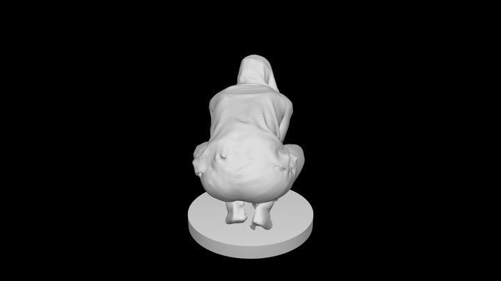 Pion 3D Model