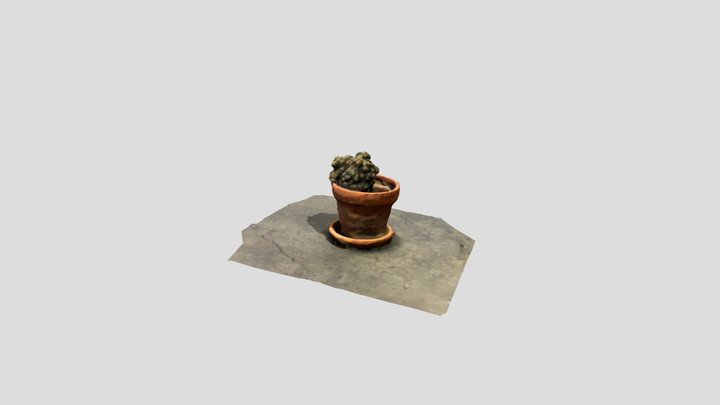 Poly 4 3D Model