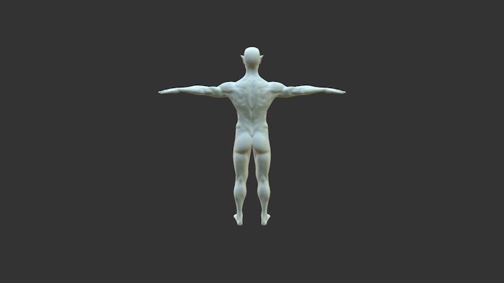 Body The Nightmare Concept Challenge2017 3D Model