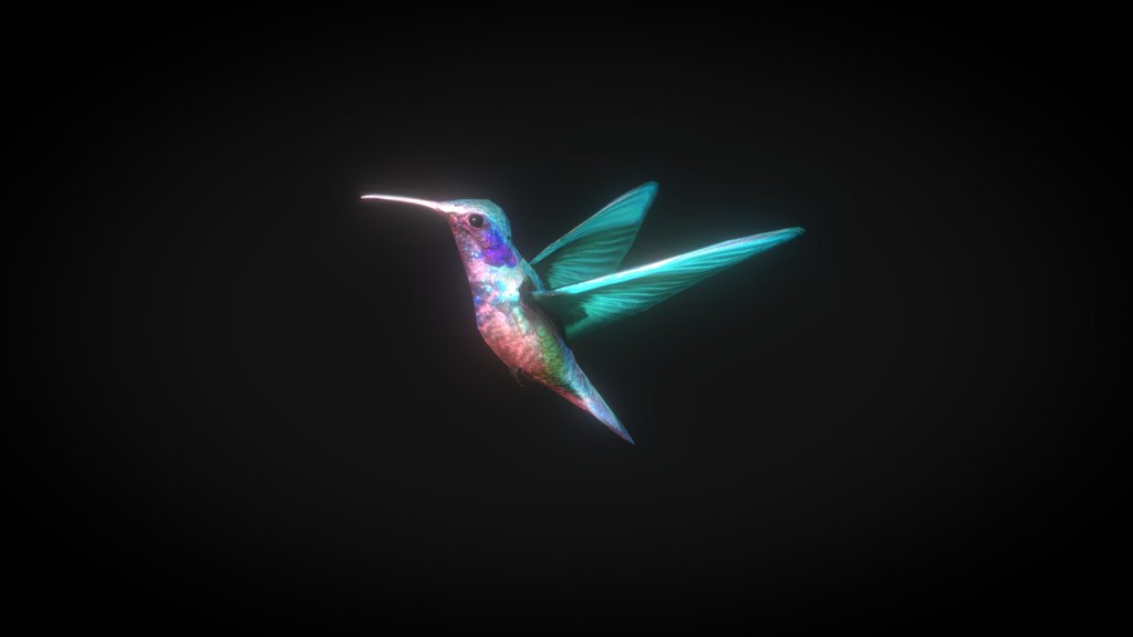 LowPoly humming-bird animated