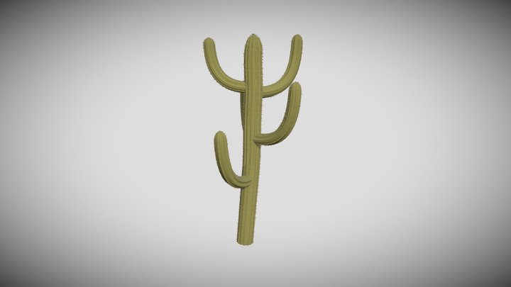 Realistic Cactus 3D Model