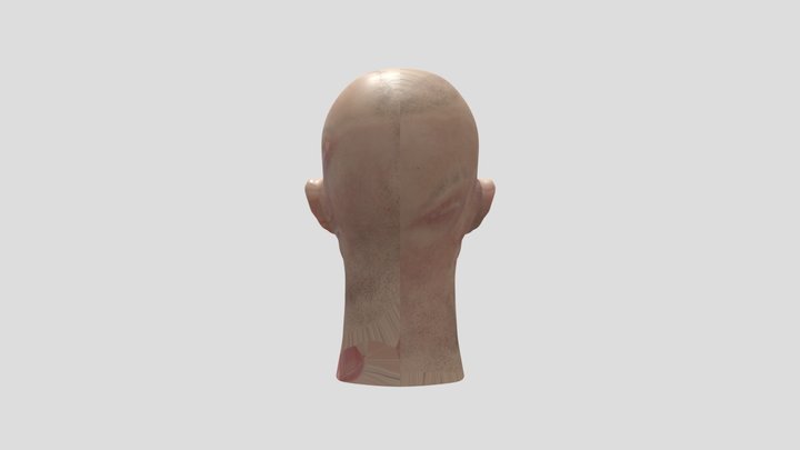 Robert Pattinson head 3D Model
