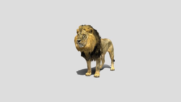Lion 3d model – Kostenloses 3D-Modell STL
