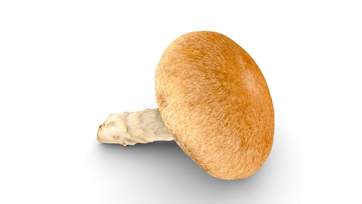 1,013 Shimeji Shitake Images, Stock Photos, 3D objects, & Vectors