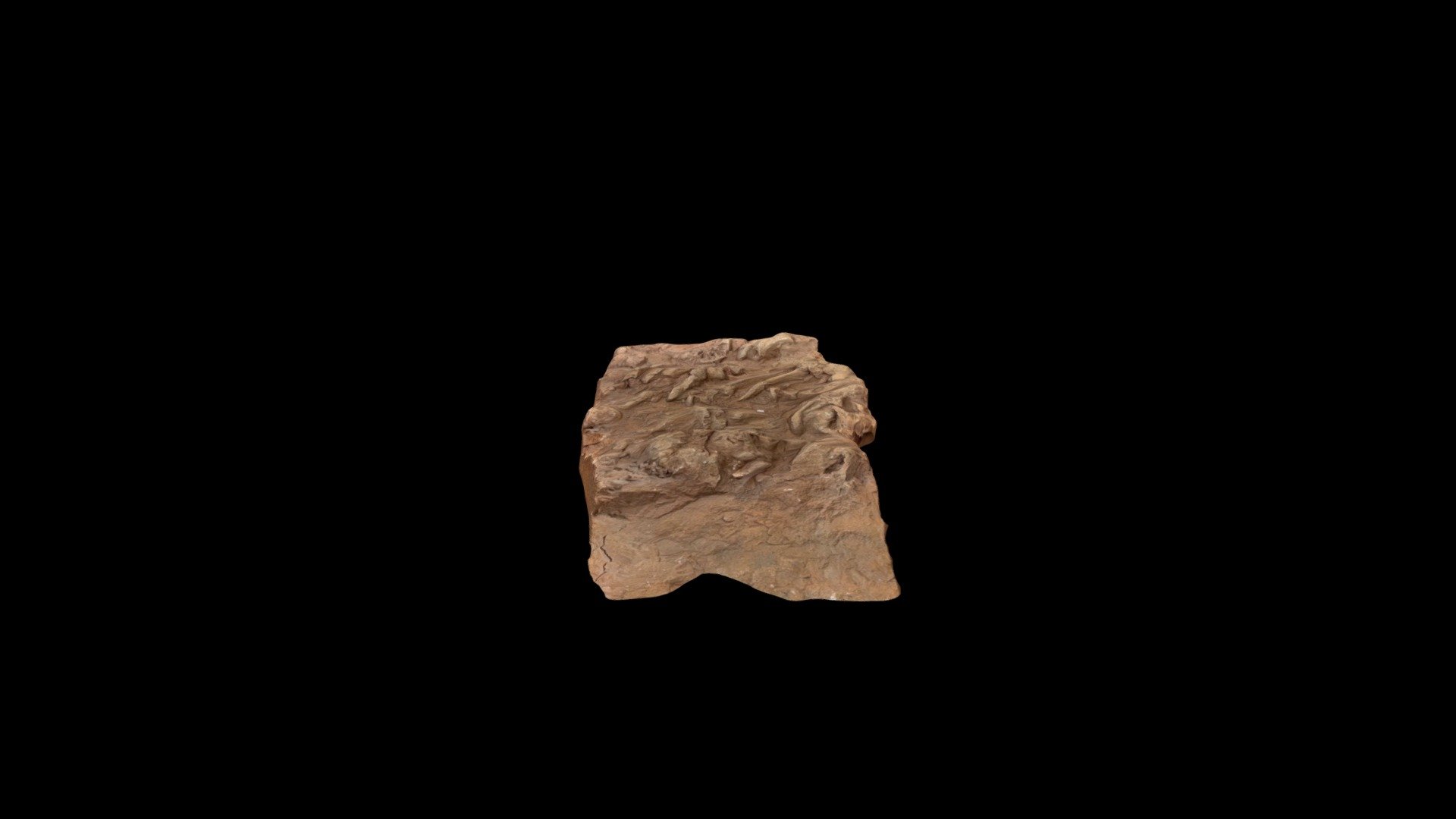 Casts of dinosaur swim tracks