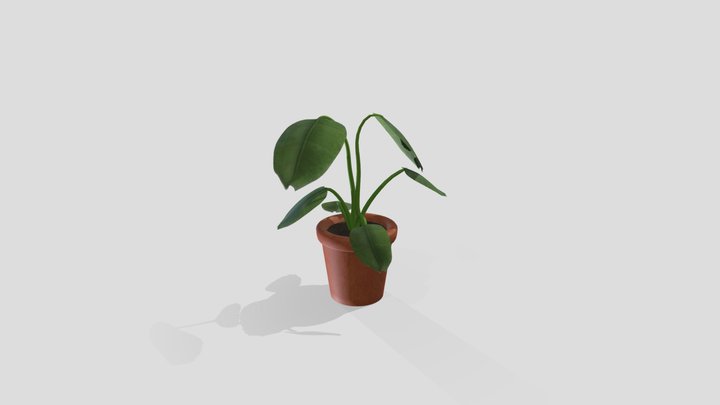 CGT 116 plant 3D Model