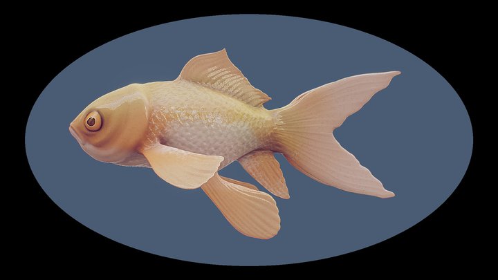 YellowFish 3D Model