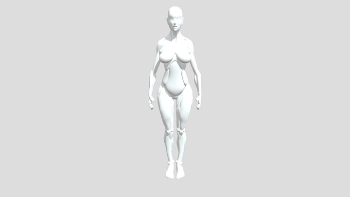 Female muscles base mesh 3D Model