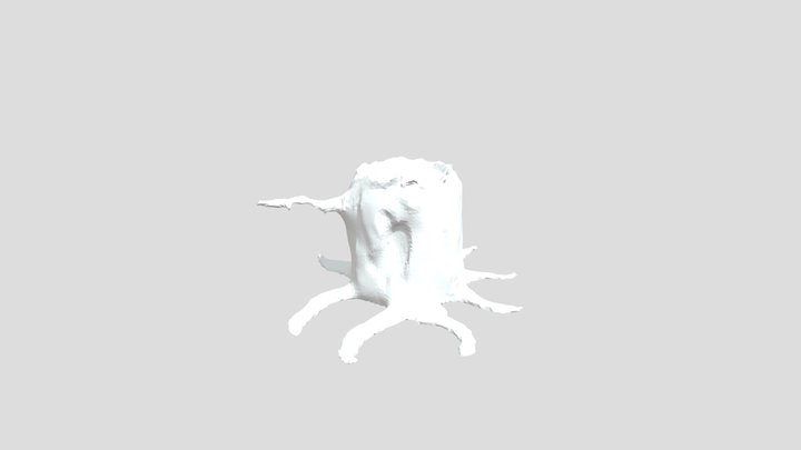 Clark0304Tree02 3D Model