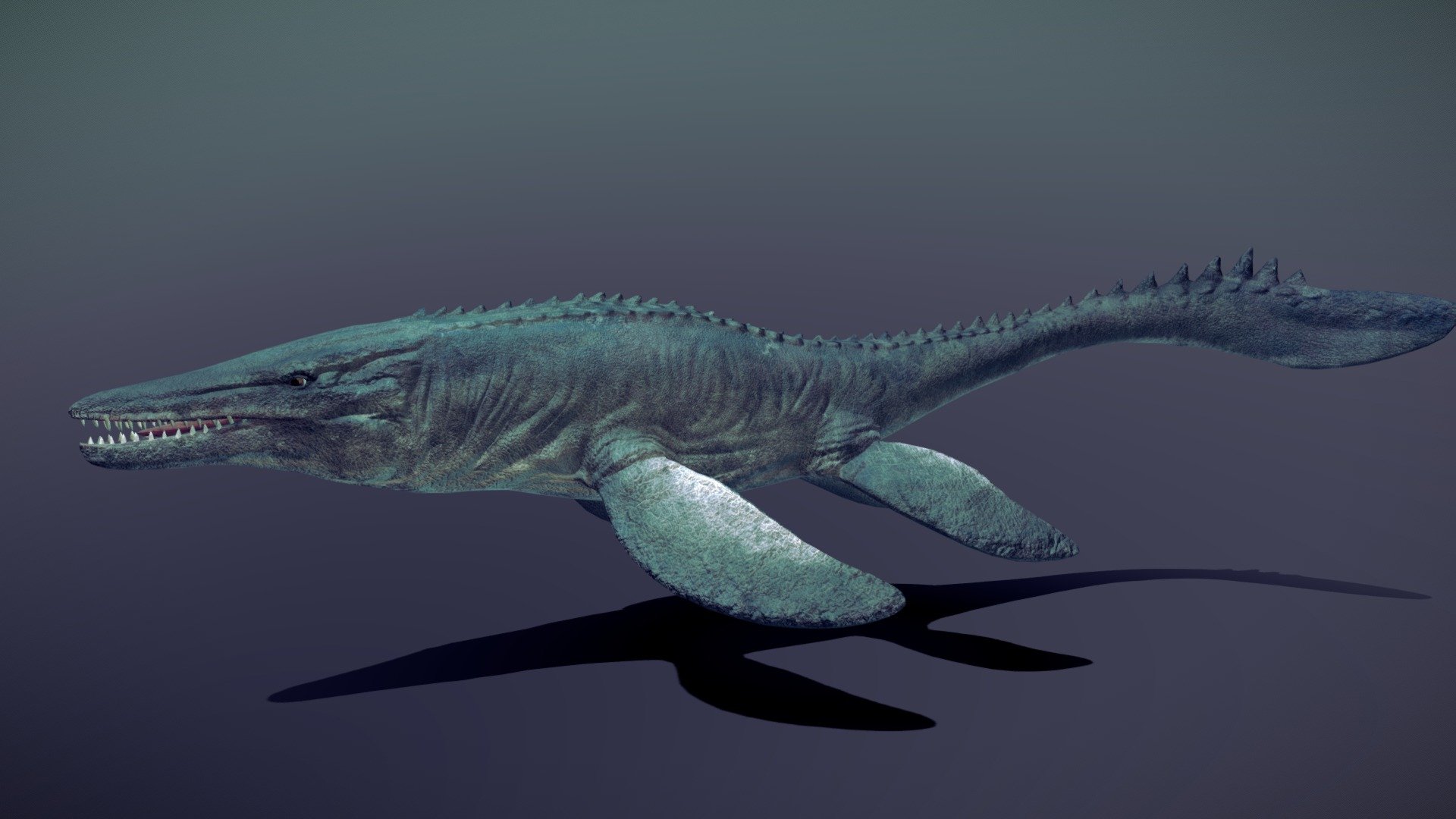 Mosasaurus model store