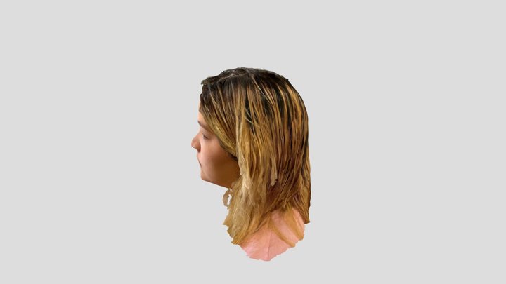 Polycam capture 3D Model