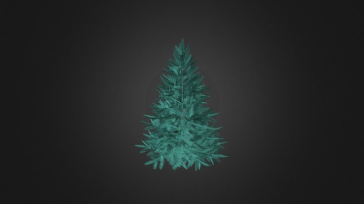Blue Spruce (Picea pungens) 1.4m 3D Model