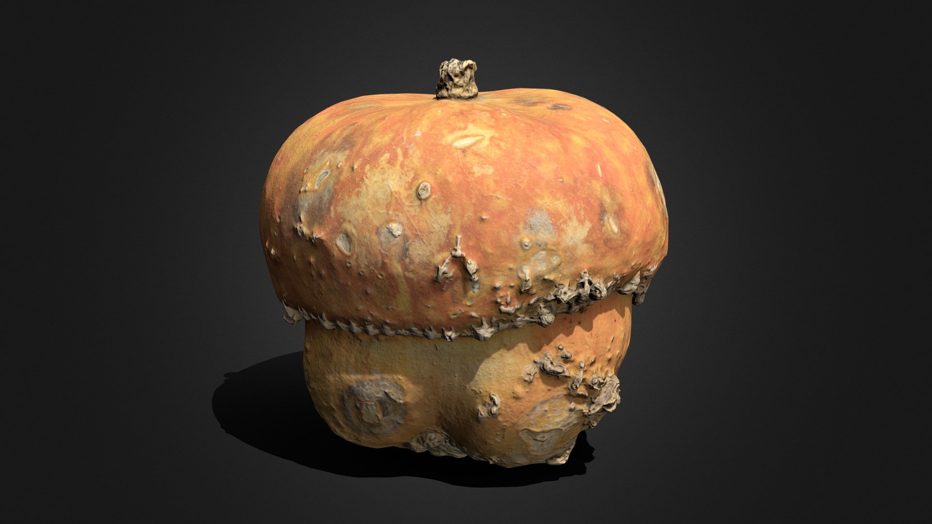 Turban squash (Mini red turban) .::RAWscan::.