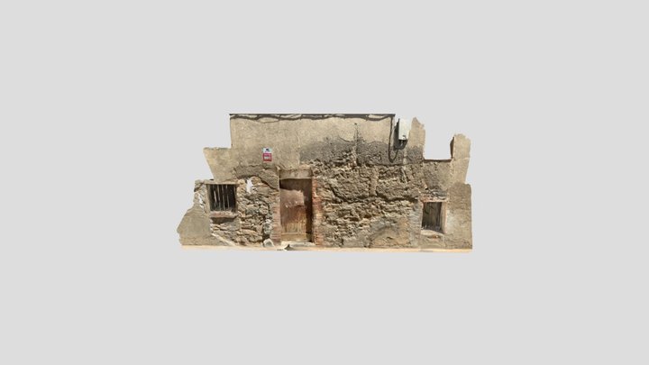 Old wall with a door 3D Model