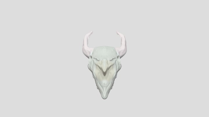 craneo 3D Model