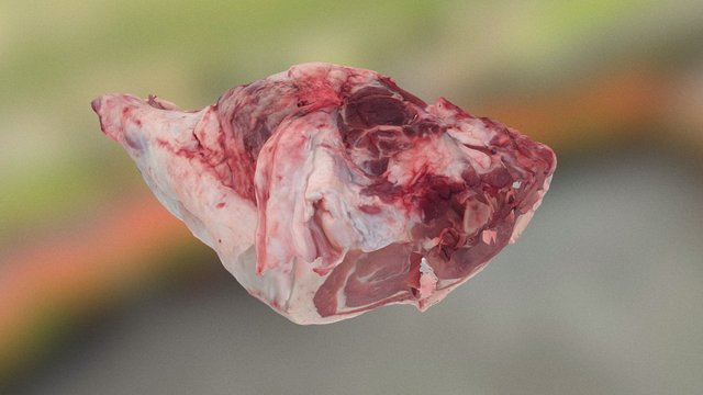 Whole Ham 3D Model