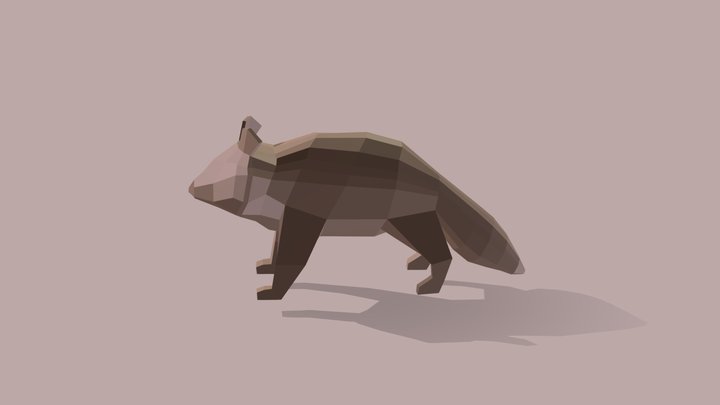 Racoon 3D Model