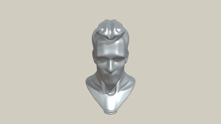 Metallic human head bust 3D Model