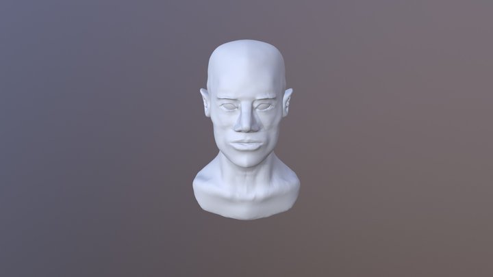 Selfportrait 3D Model